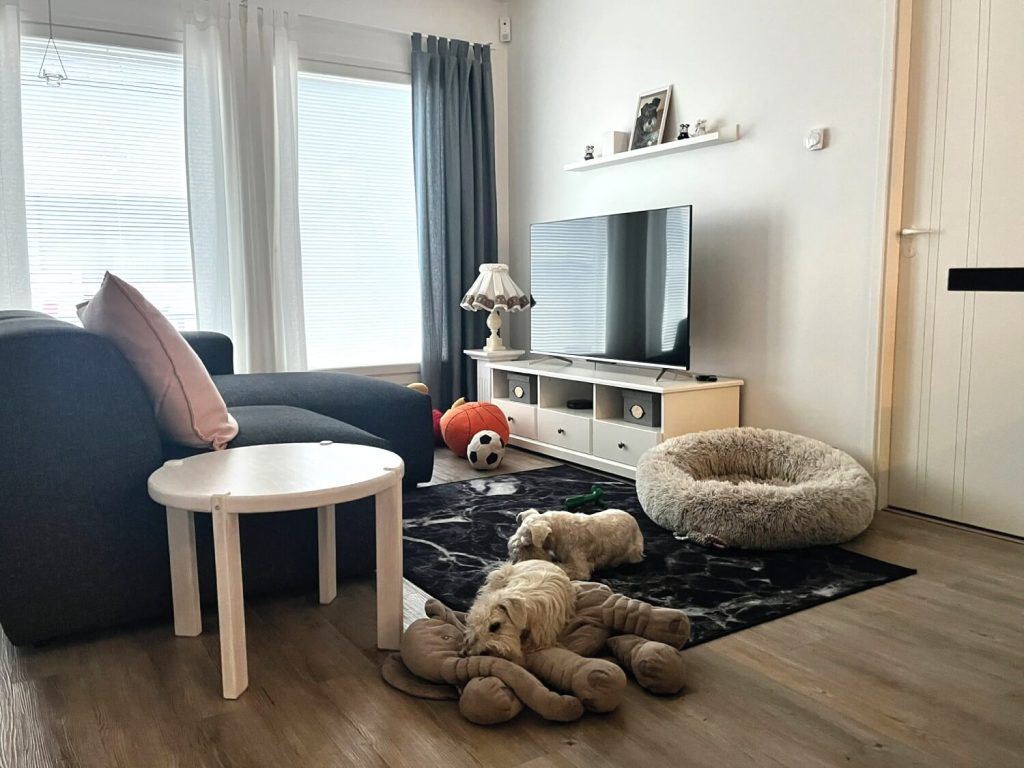 Koirahoitola Haukkuhotelli - Koirien hoitopalvelut Keravalla kuva